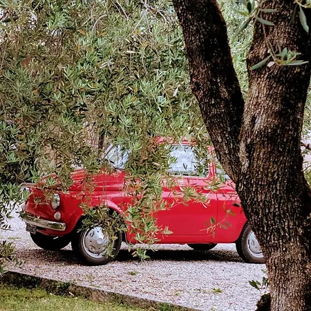 With Great Views On Garda Διαμέρισμα Torri Del Benaco
