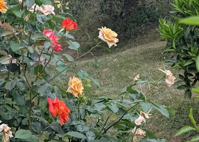 With Great Views On Garda *