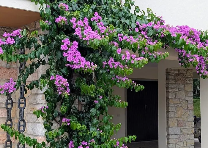 With Great Views On Garda